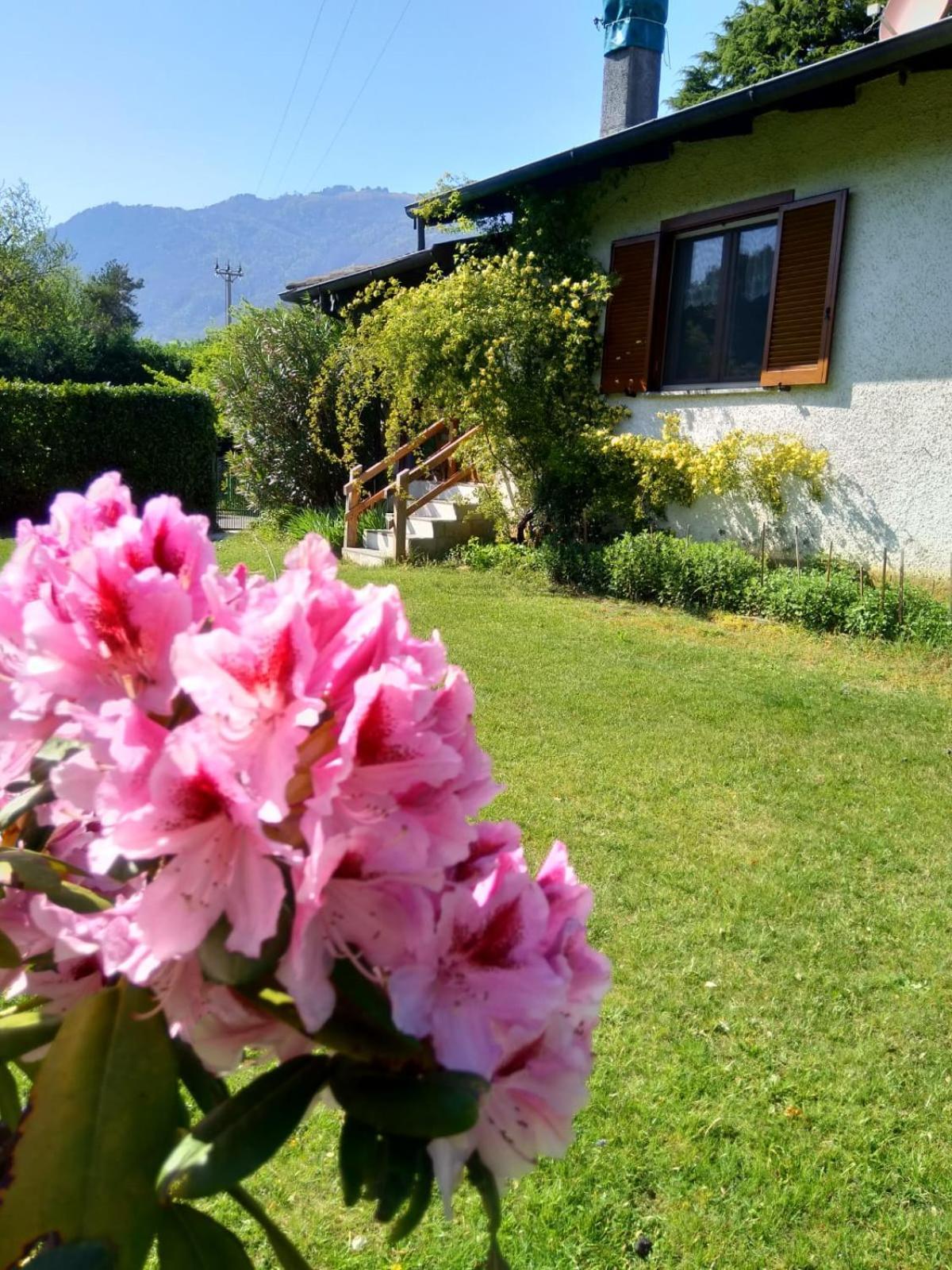 Villa Anna Sorico Exterior foto